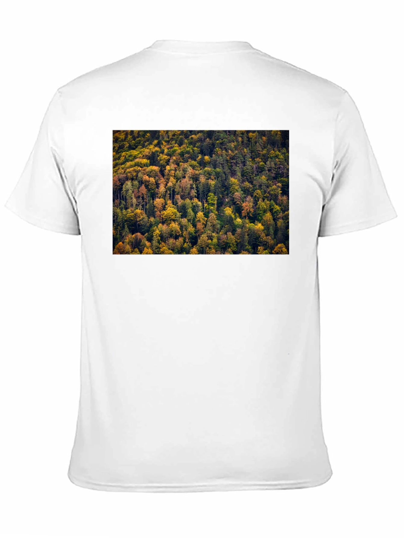 Camiseta Negra con Diseño de Bosque Otoñal