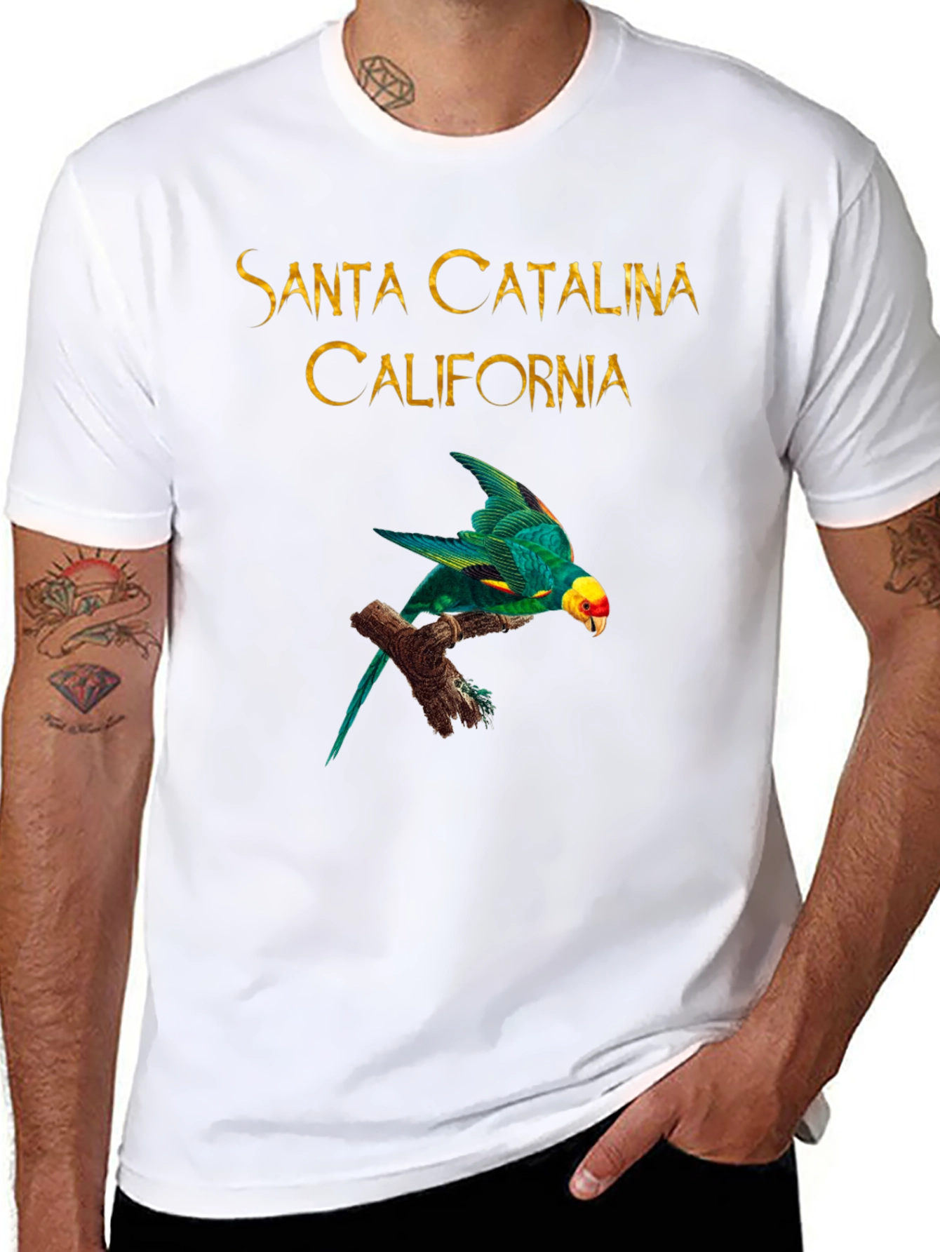Camiseta Negra Santa Catalina California Parrot