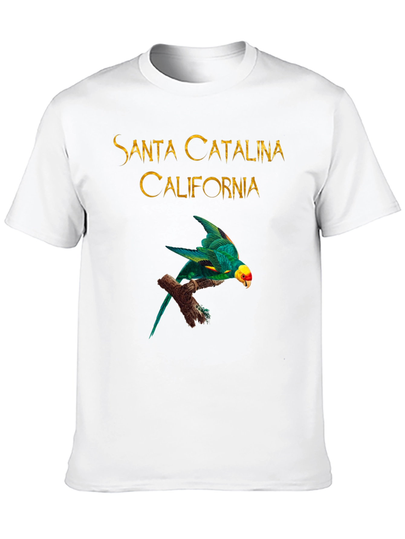 Camiseta Negra Santa Catalina California Parrot