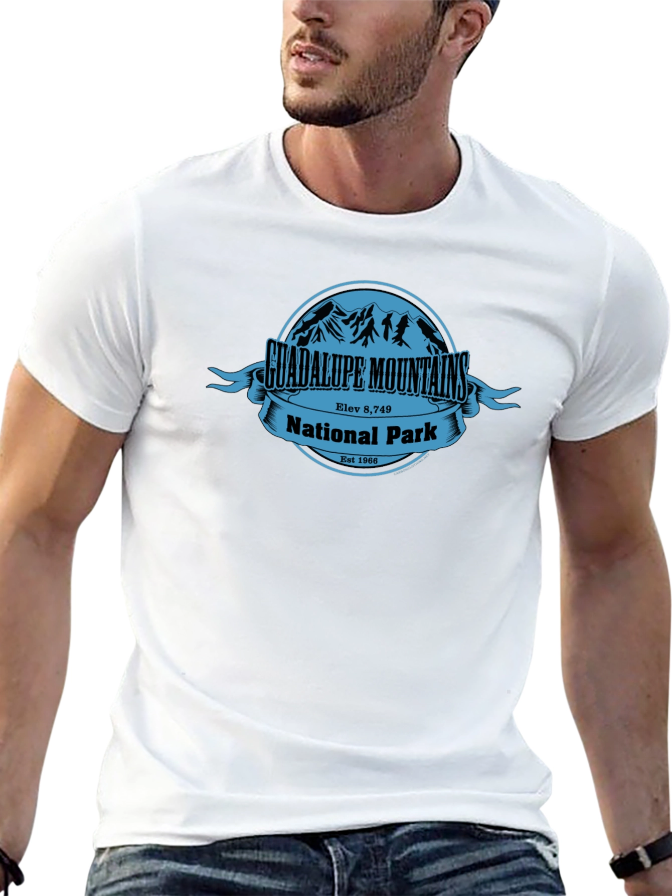 Camiseta Negra Guadalupe Mountains National Park