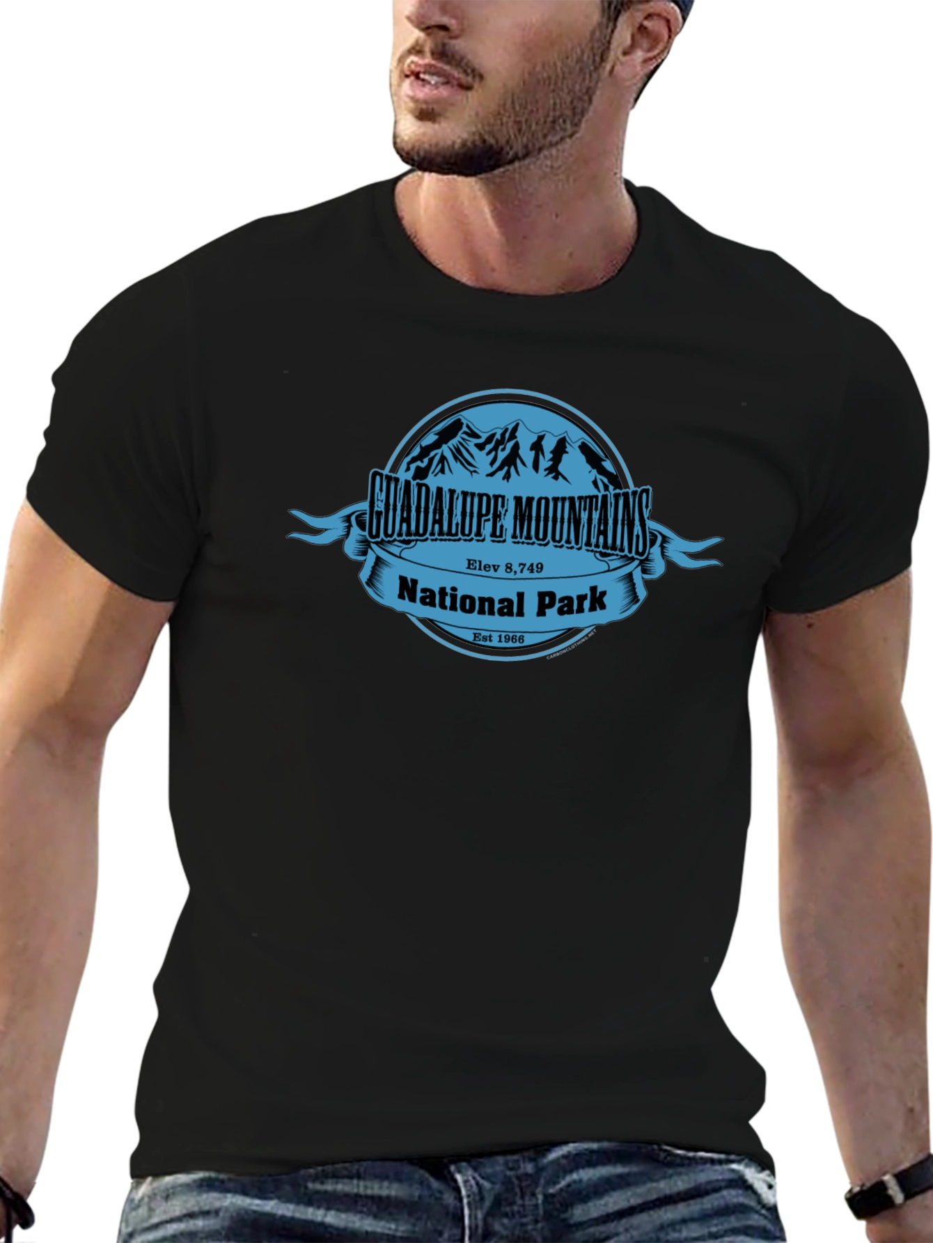 Camiseta Negra Guadalupe Mountains National Park